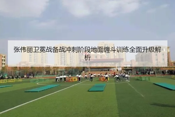 张伟丽卫冕战备战冲刺阶段地面缠斗训练全面升级解析